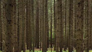 Зображення State of the Planet