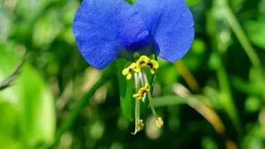 Зображення ZME Science