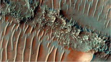 Зображення ZME Science