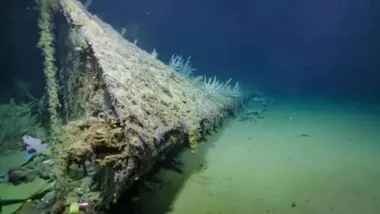 Зображення The Daily Galaxy