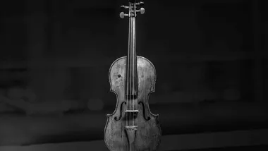 Зображення The Daily Galaxy