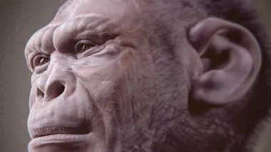 Зображення Sci.News