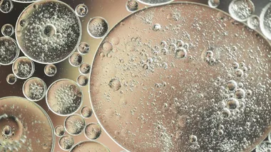 Ілюстративне зображення Freepik