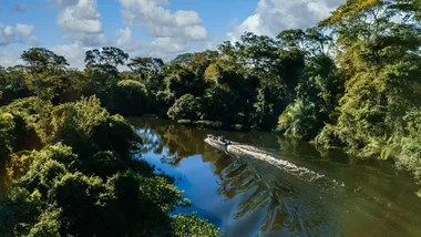 Ілюстративне зображення Freepik