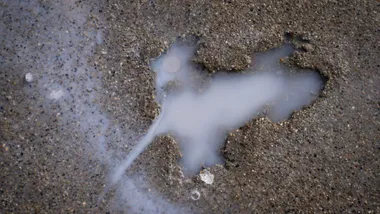 Зображення Yahoo