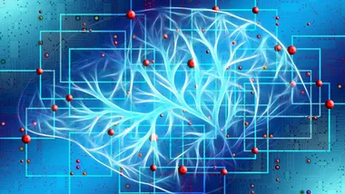 Зображення medicalxpress.com