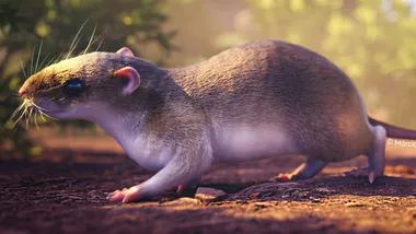 Зображення Sci.News