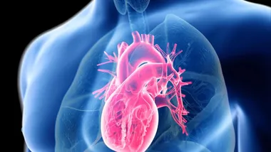 Зображення SciTechDaily