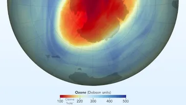 Зображення Sci.News