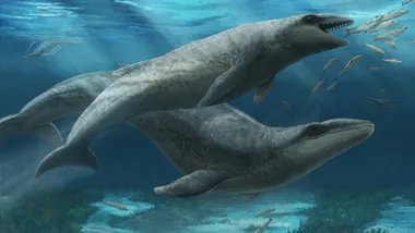 Зображення Sci.News