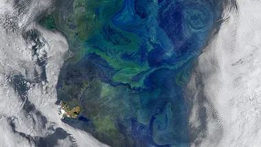 Зображення Phys