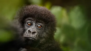 Ілюстративне фото Freepik