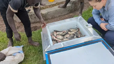 Зображення Phys