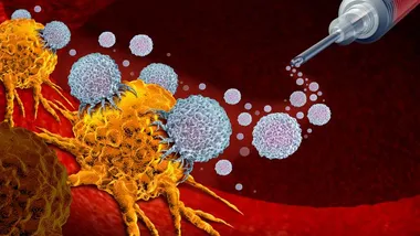 Зображення TS