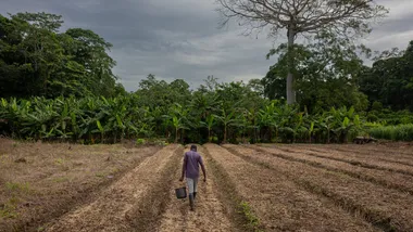 Зображення NYT