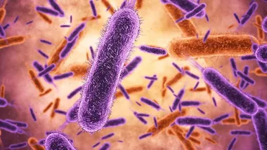 Зображення TS