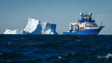 Фото Alex Ingle/Schmidt Ocean Institute