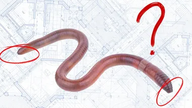 Зображення ZME Science