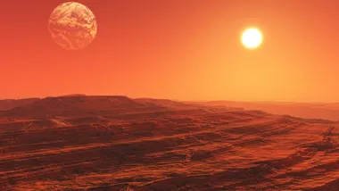 Ілюстративне зображення Freepik