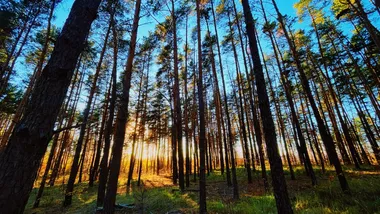 Фото Igor Karimov