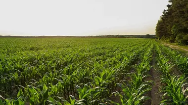 Зображення Watts Up With That？