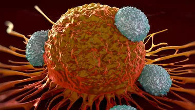 Зображення TS