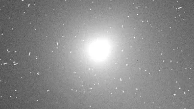 Зображення Sci.News