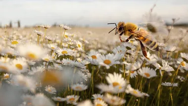 Зображення SciTechDaily