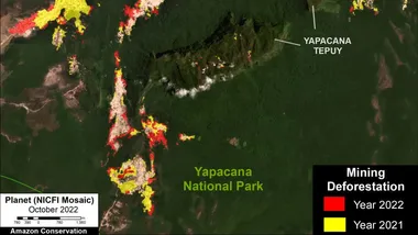 Зображення ZME Science