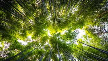 Ілюстративне зображення Freepik