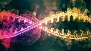 Ілюстративне зображення Freepik