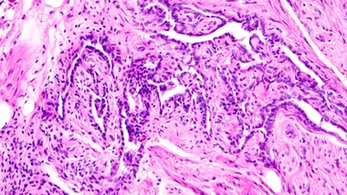 Зображення Live Science