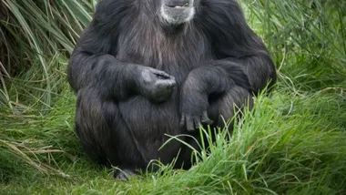 Зображення ScienceBlog