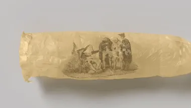 Зображення ZME Science