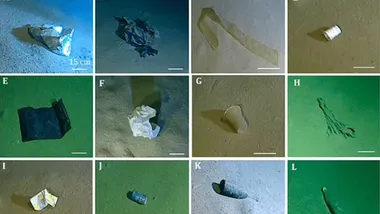 Зображення Caladan Oceanic