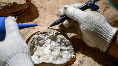 Зображення scitechdaily.com