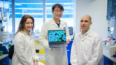 Зображення phys.org