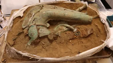 Зображення ZME Science