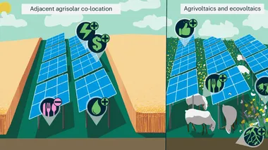 Зображення Phys