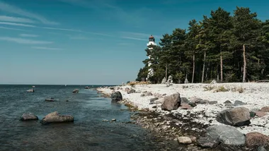 Ілюстративне зображення Raul Ling, Pexels