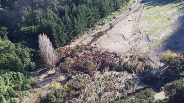 Зображення Phys