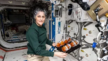 Зображення TS