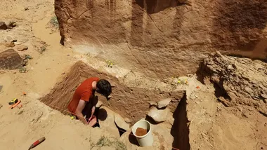 Зображення NYT