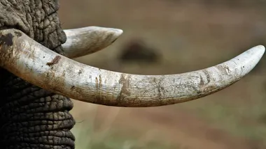 Зображення Phys