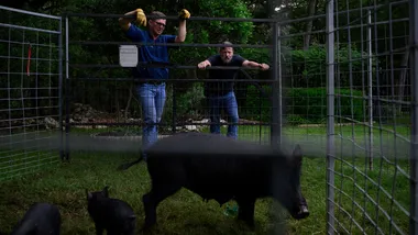 Зображення NYT