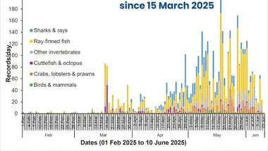 Зображення Phys