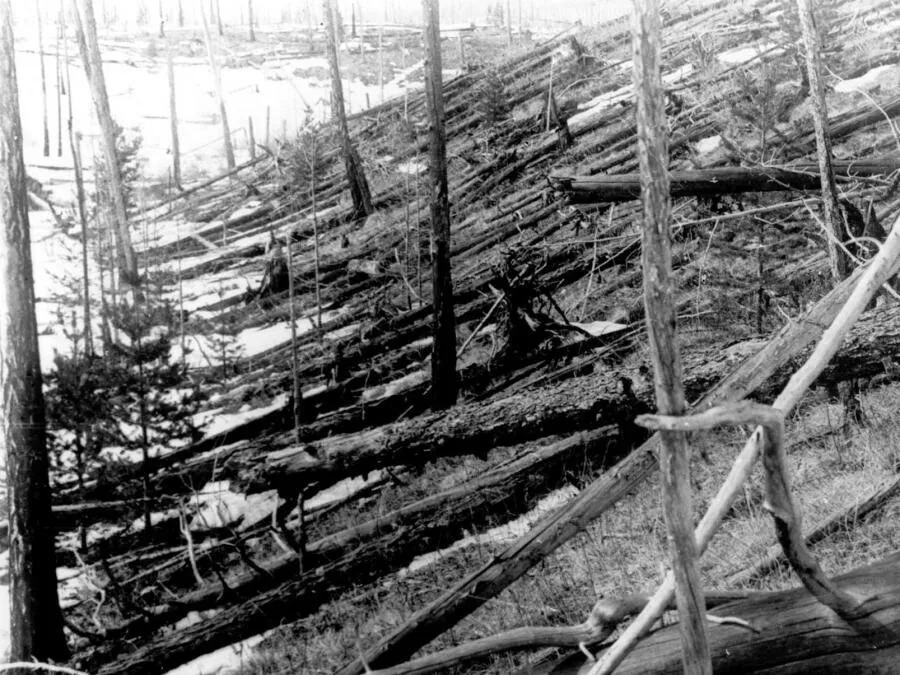 Місце падіння Тенгуського метеорита. На фото видно сліди лісової пожежі та вивал лісу