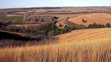 Зображення Phys