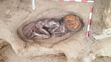 Зображення ZME Science