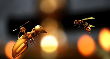 Бджоли спілкуються з рибами